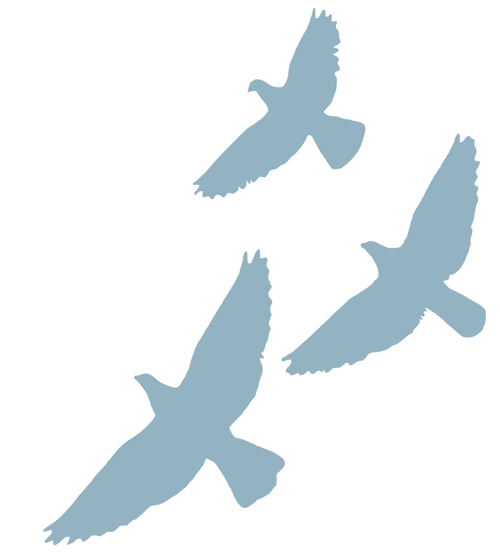  Dyrebeskyttelsen Sør Rogaland 