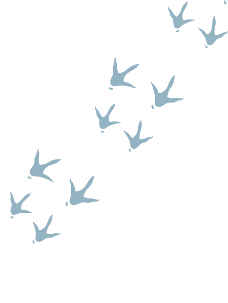  Dyrebeskyttelsen Sør Rogaland 